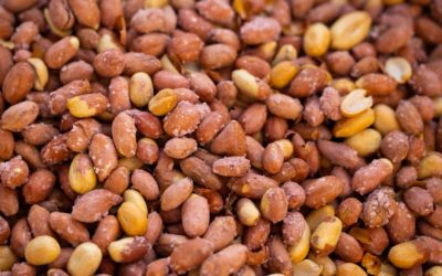 Du willst abnehmen? Probier’s mit der Eiweiß Diät!